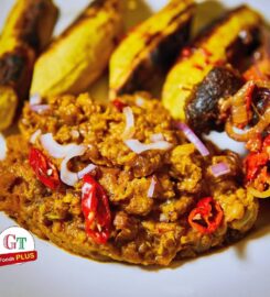 GT food plus (New Q)