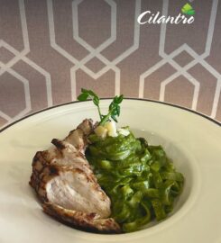 Cilantro